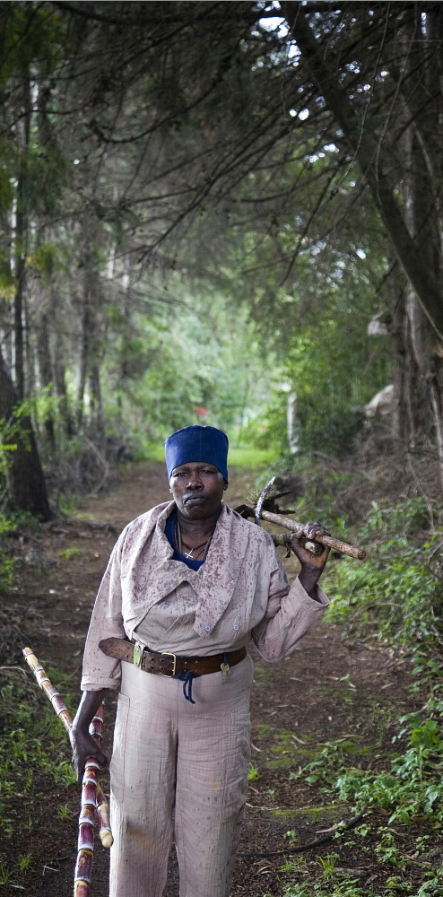 A nun on her way back from harvesting sugar cane in the grounds of the Sebeta Getesemani Nunnery, which is home to 105 nuns and over 200 orphans. Petterik Wiggers / Panos
