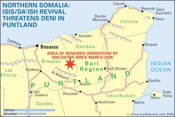 Islamic State exploits Puntland leader’s political errors