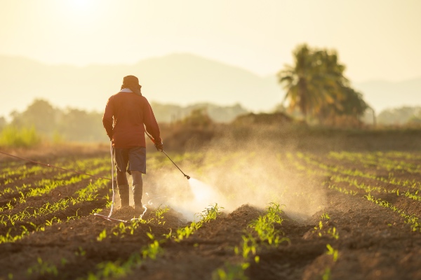 Brussels pesticide compromise leaves African exporters in limbo